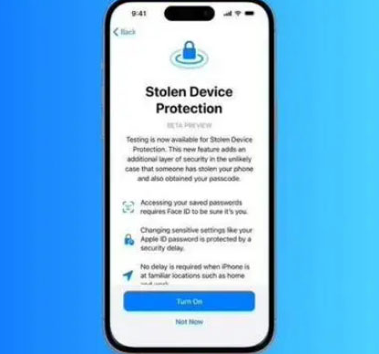 富宁苹果授权维修店分享被盗设备保护功能开启方法 