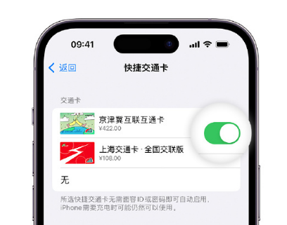 富宁apple维修点分享iPhone上更换Apple Pay快捷交通卡手绘卡面 