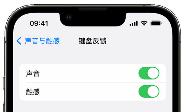 富宁苹果手机维修分享iPhone 14触感键盘使用方法 