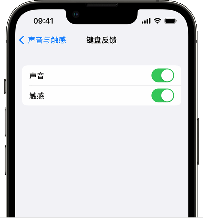 富宁苹果14维修店分享如何在 iPhone 14 机型中使用触感键盘 