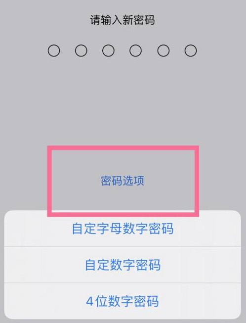 富宁苹果14维修分享iPhone 14plus设置密码的方法 