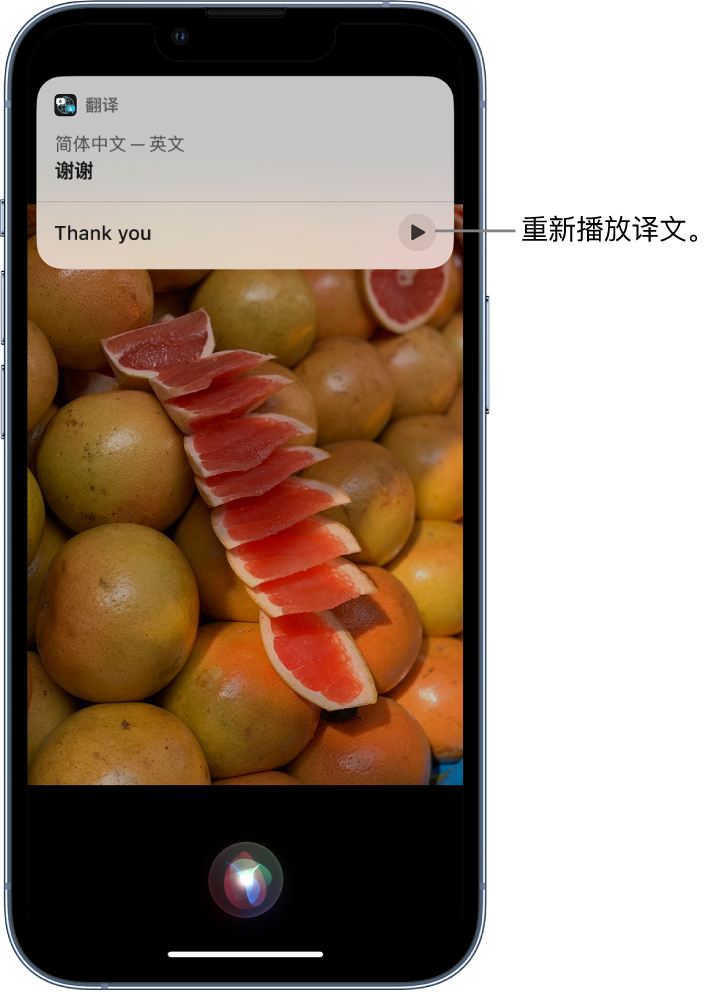 富宁苹果14维修分享 iPhone 14 机型中使用 Siri：了解 Siri 能帮你做什么 