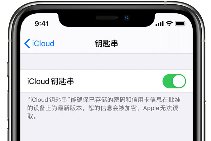 富宁苹果手机维修分享在 iPhone 上开启 iCloud 钥匙串之后会储存哪些信息 