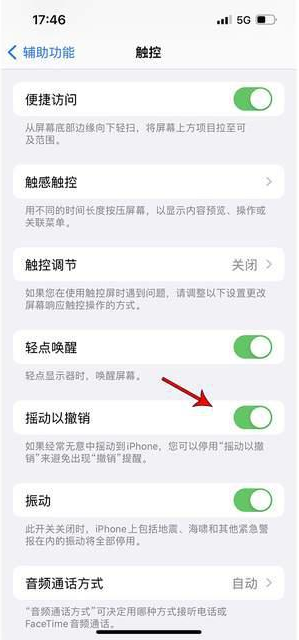 富宁苹果手机维修分享iPhone手机如何设置摇一摇删除文字 